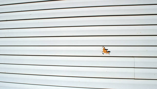 Best Shed Removal  in Murfreesboro, AR